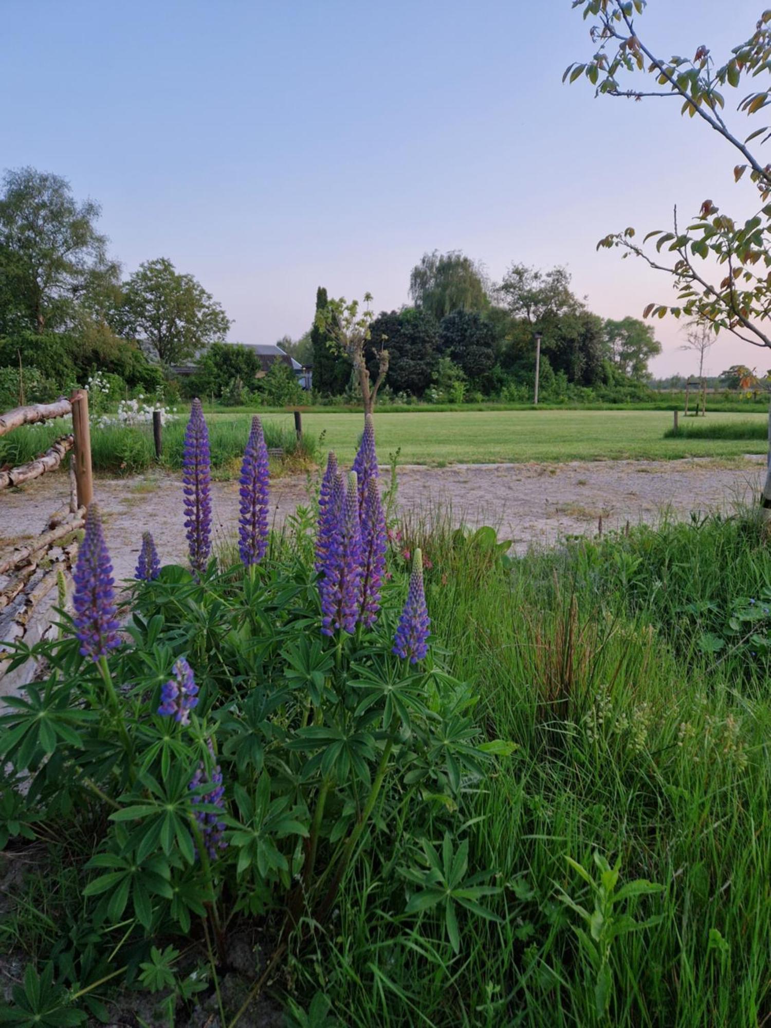 De Wilde Tuin - Tuinkamer Moergestel Eksteriør bilde