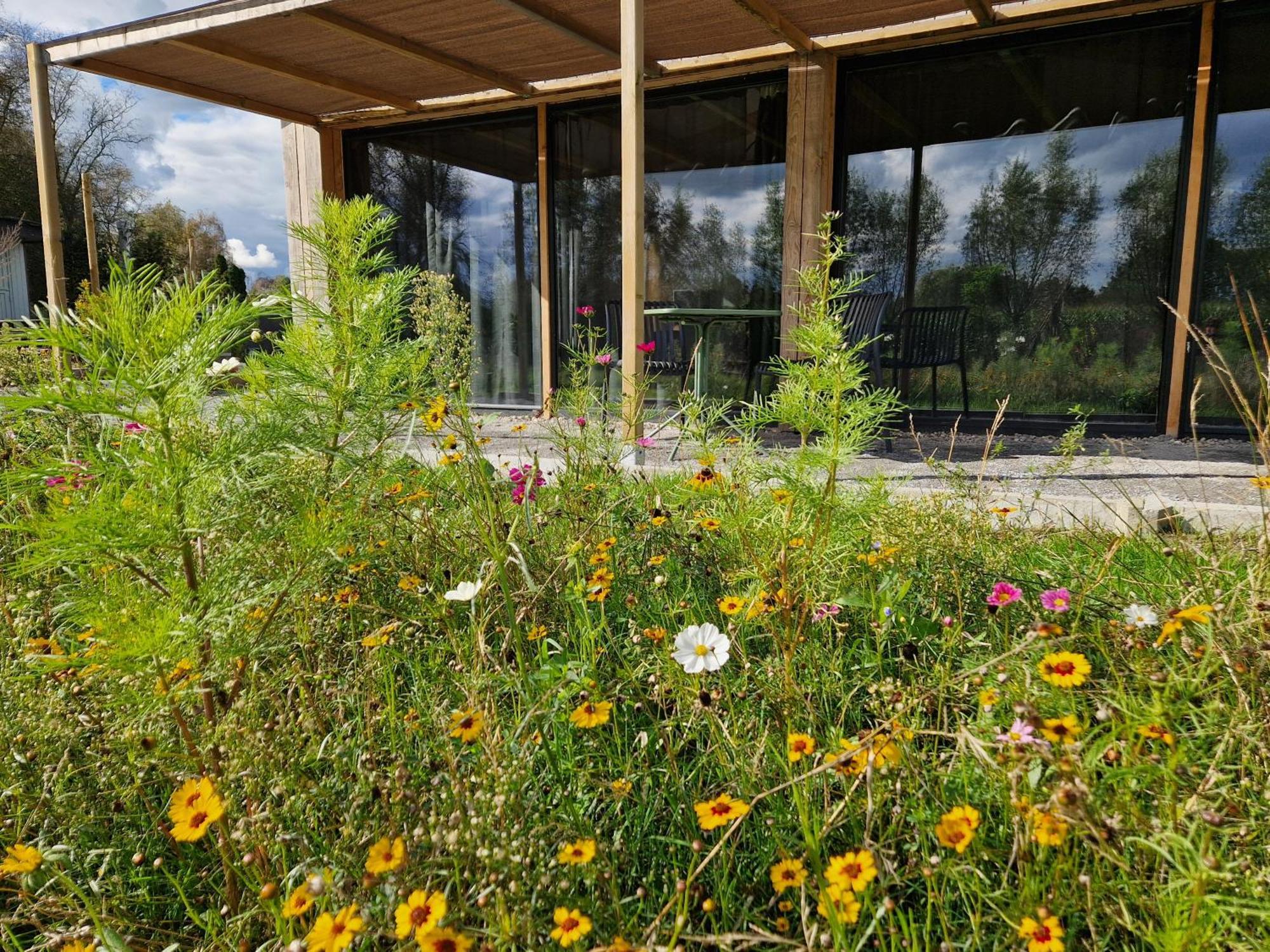 De Wilde Tuin - Tuinkamer Moergestel Eksteriør bilde